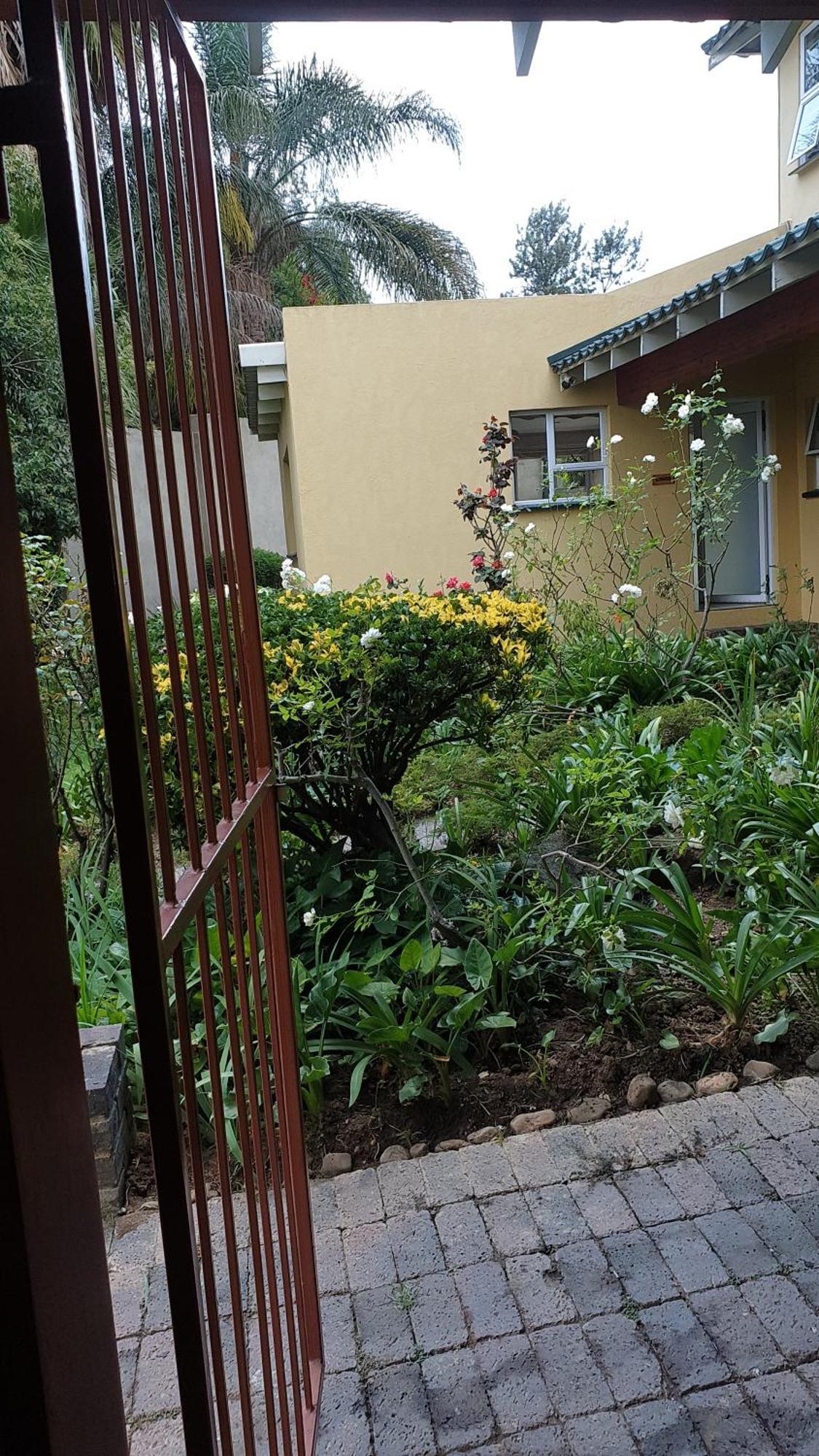 Matina Guest House Johannesburg Room photo